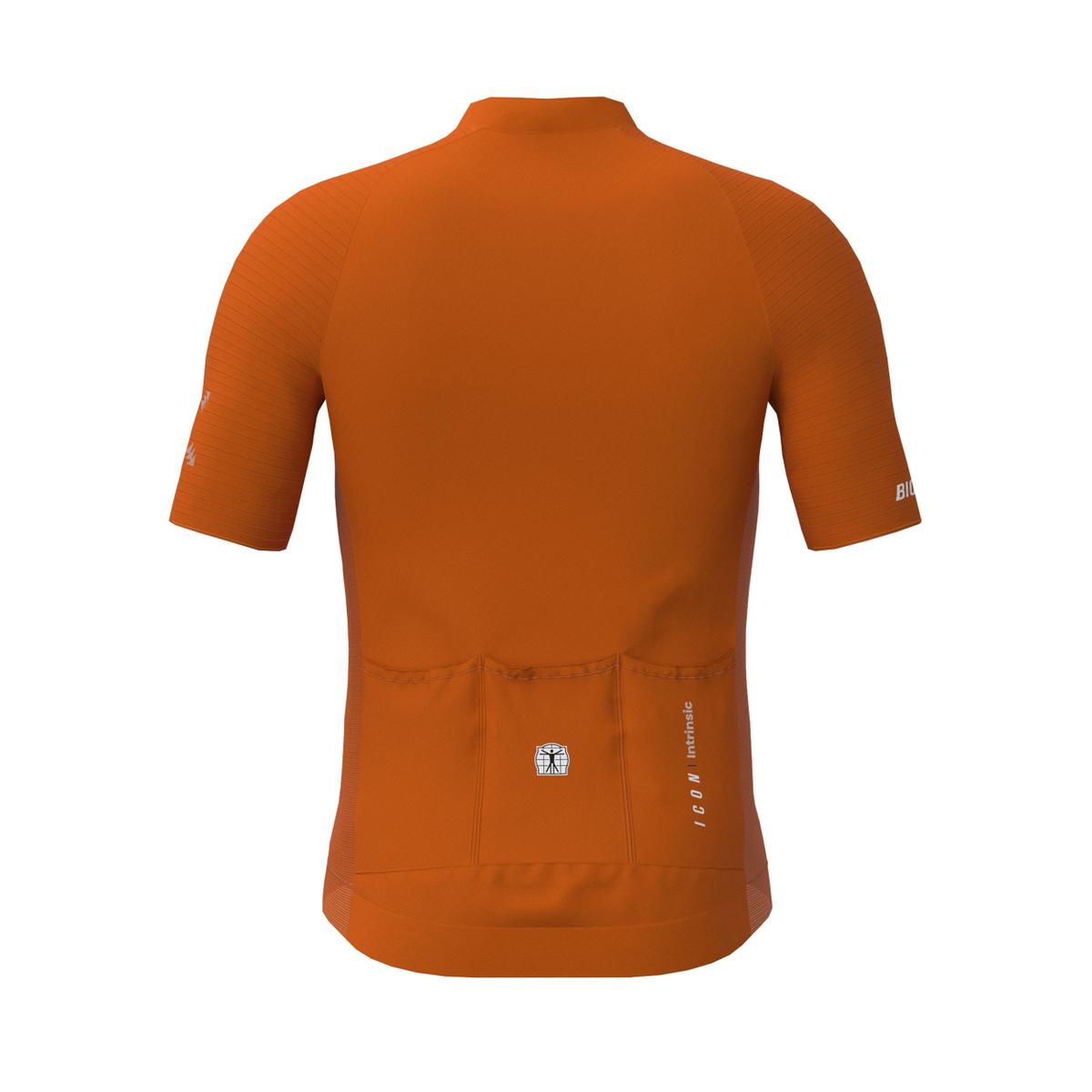 product/b/i/bioracer_co_br10410_rust_och_rusty-ochre_2.jpg