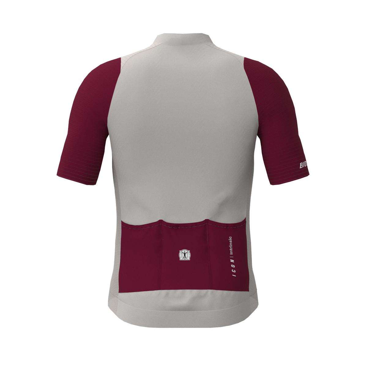 product/b/i/bioracer_co_br10410_wgr_bor_warm-grey-bordeaux_2.jpg
