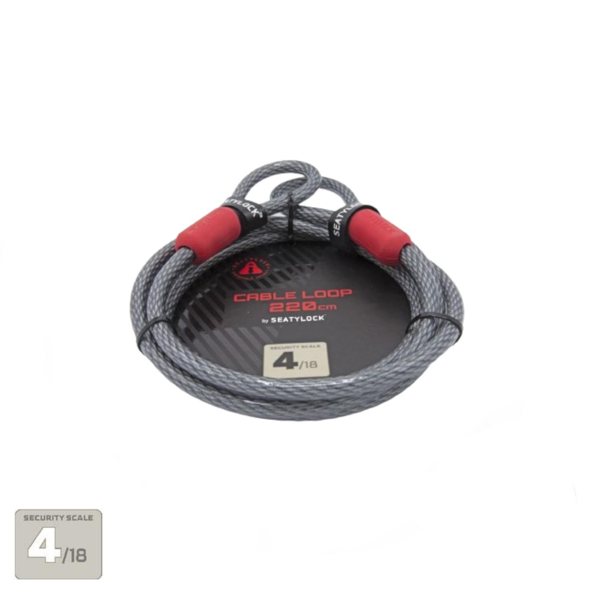product/s/e/seatylock_cb220_gris_1.jpg