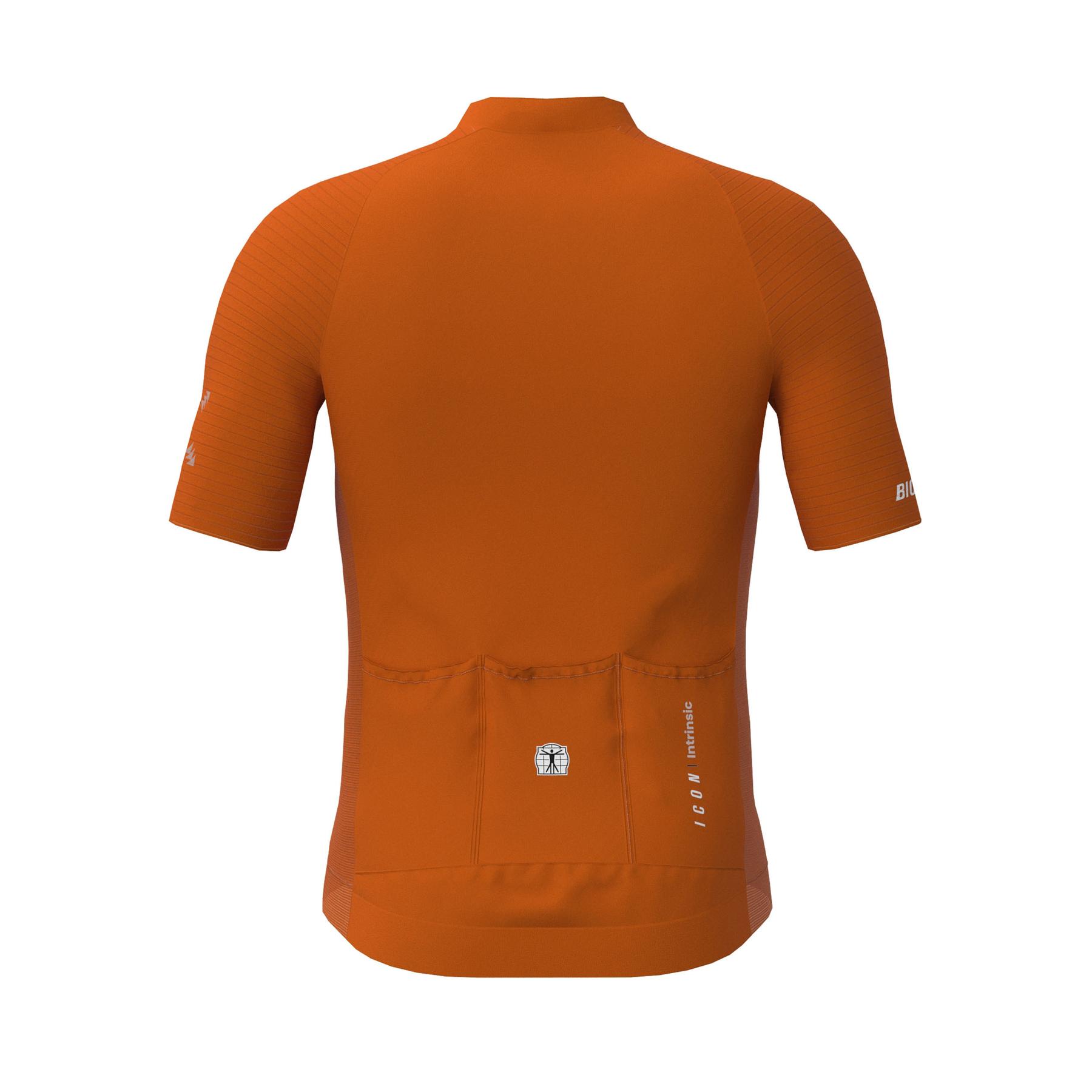 product/b/i/bioracer_co_br10410_rust_och_rusty-ochre_2.jpg