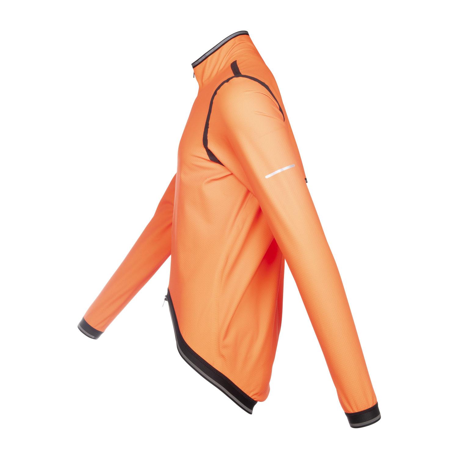 product/b/i/bioracer_co_br29064_fo_2.jpg