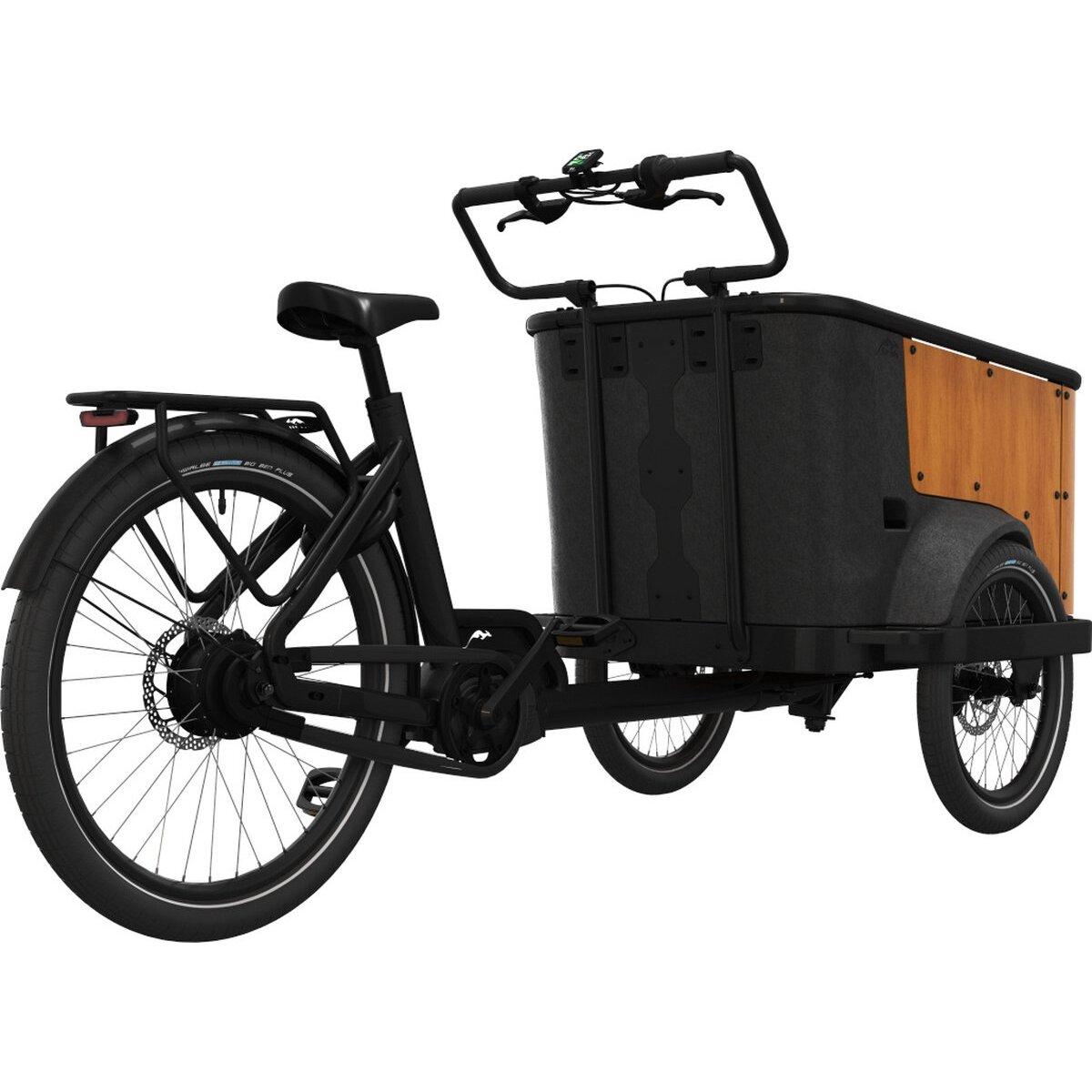 product/c/a/cangoo_cb-u24001_noir-bois_3.jpg