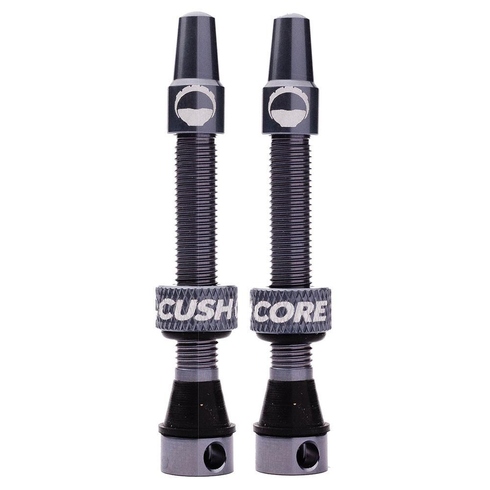 product/c/u/cushcore_10023_noir_1.jpg