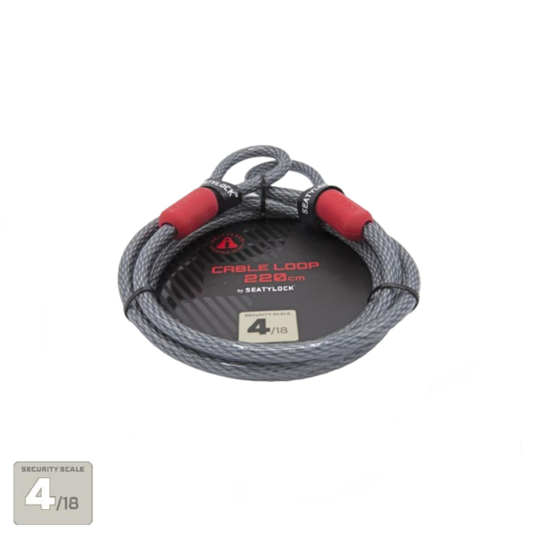 product/s/e/seatylock_cb220_gris_1.jpg