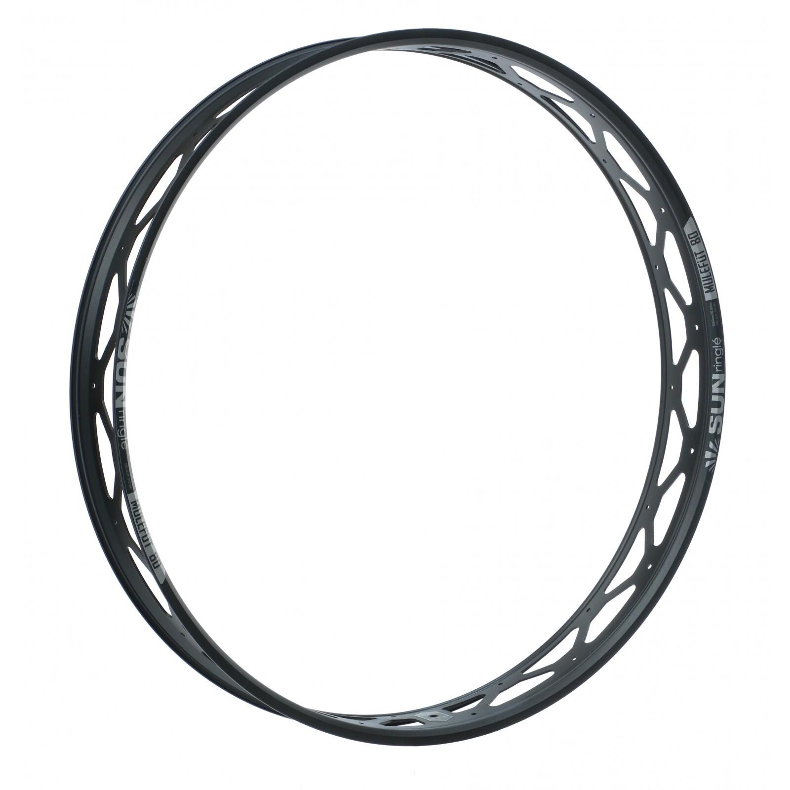 product/s/u/sun-ringle_rb6e97025834605.jpg