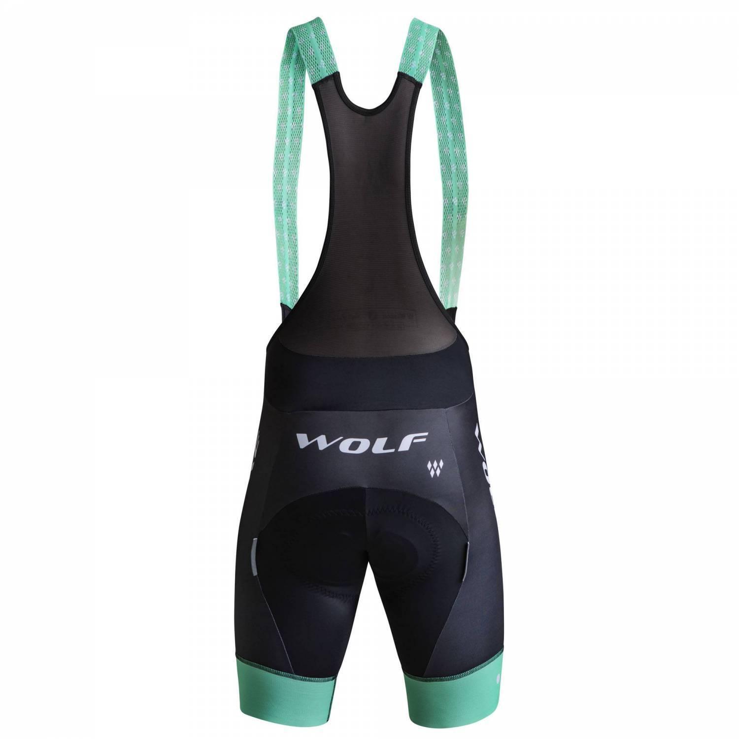 product/w/i/windest_w51-001-05-v_1.jpg
