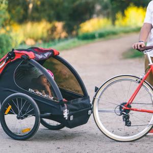 Transport