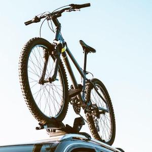 Transport