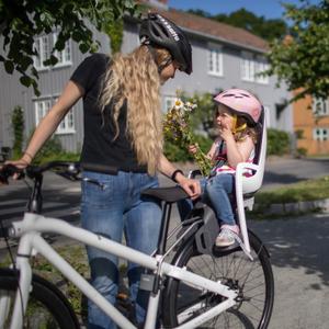 Transport