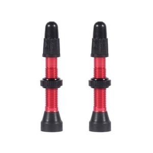 095-000-valves-tubeless-wtb-presta-tcs-rouge