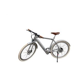vae-a-sil-velo-electrique-avec-garde-boue-alerion-silver