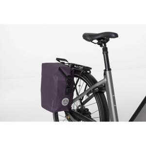 product/a/g/agu_41120606-532_purple-velvet_3.jpg