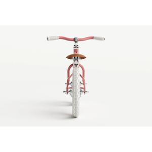 product/b/a/banwood_bw-icon-rose_rose_2.jpg