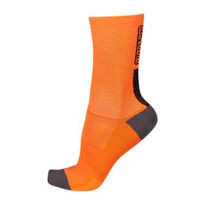 product/b/i/bioracer_co_br20121_fl_0_0.jpg