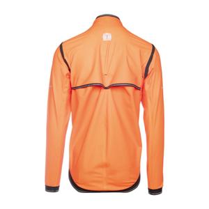 product/b/i/bioracer_co_br29064_fo_3.jpg