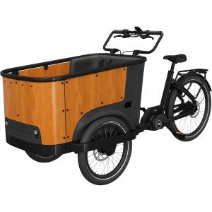 cb-u24001-velo-electrique-cangoo-buckle-up-noir-bois-tu