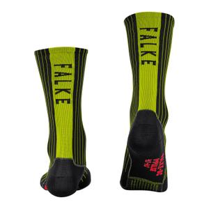 product/f/a/falke_16895-3000-rearview.jpg