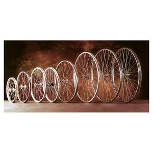 64202-roue-vtt-arriere-avec-350-rayons-en-aluminium-gurpil-argente-tu