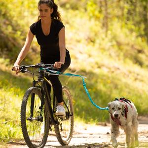 product/i/-/i-dog_ilink_2.jpg
