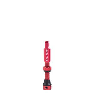v01-002-40rj-box10u-valve-de-pneu-sans-tube-krayton-x10-rouge