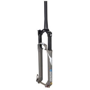 721204-fourche-suntour-sf20-axon34-elite-eq-rl-rc-29-bo-120-tpr-a-head-gr-te-noir-gris-15x110x120-mm