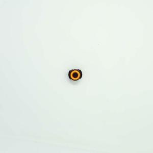 product/t/d/tdtoadeye_3.jpg