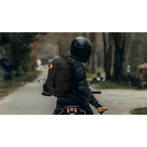 product/t/d/tdtoadeyemoto_1.jpg