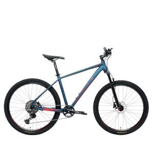 ranger-3-0-29-18-velo-welt-ranger-3-0-29-bleu